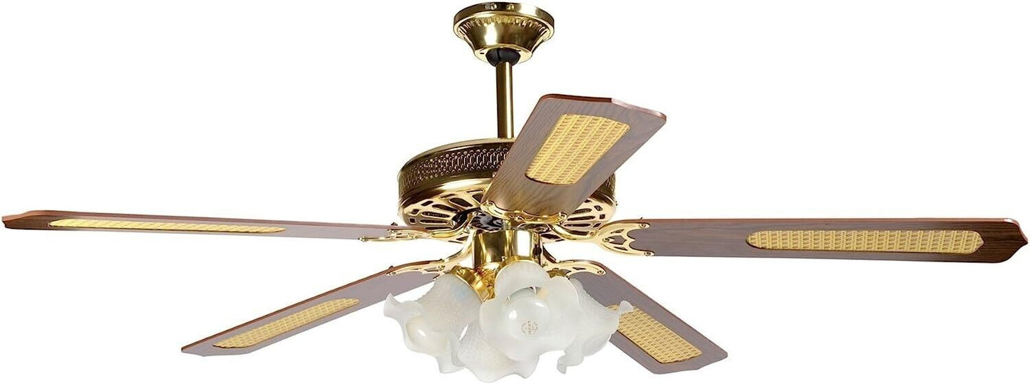 Howell VSL14044 ceiling fan with wall control, wooden blades, 60W power, 140 cm diameter, and 4 light fixtures.