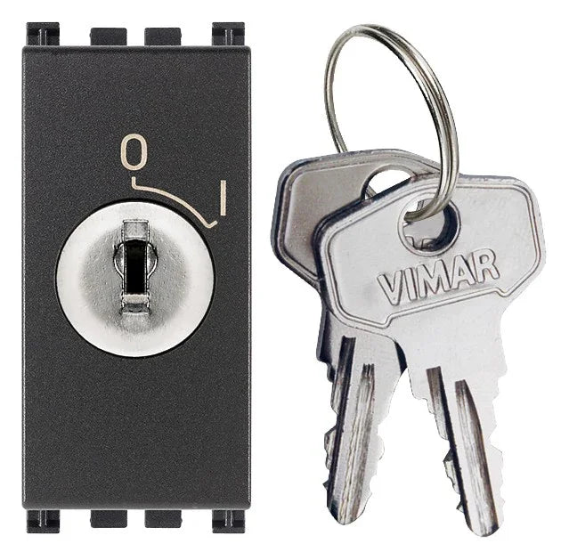 Interruttore VIMAR 2P 16(3)A + Chiave Grigio - Sicurezza e Affidabilità - SKU 19083