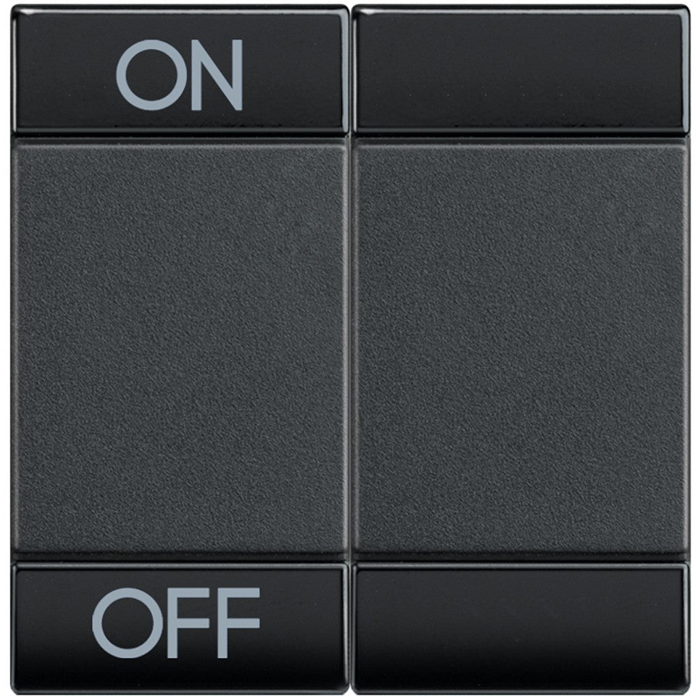 Living Light Copritasto 2 moduli ON OFF - antracite color - BTicino MyHome series multifunction switch.