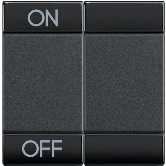 Living Light Copritasto 2 moduli ON OFF - antracite color - BTicino MyHome series multifunction switch.