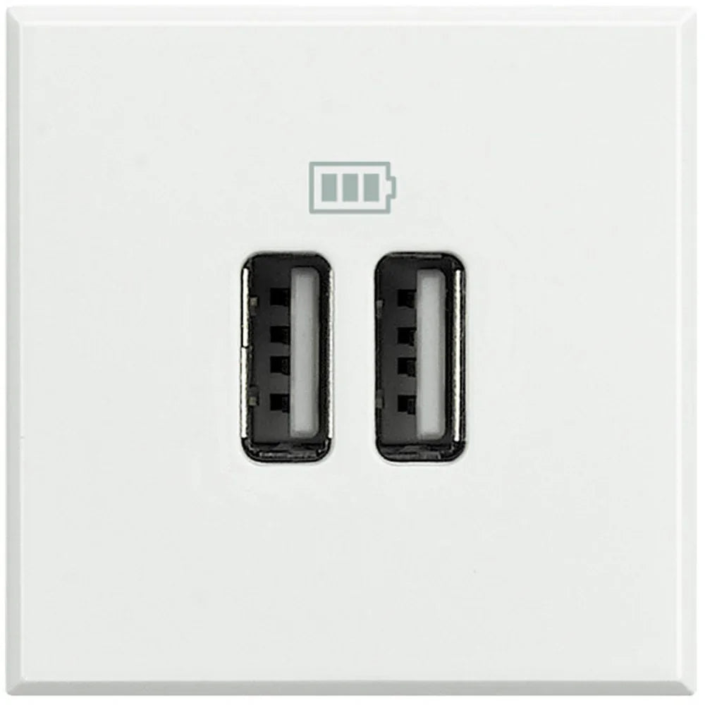Caricatore USB BTicino Axolute 2 Moduli HD4285C2 - Design Elegante e Funzionale per Ricarica Sicura