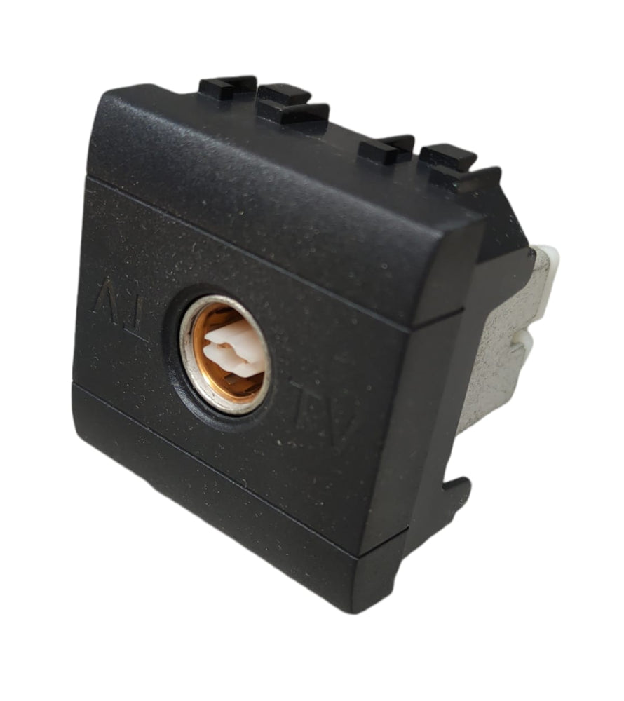 Bticino L4201D/2 TV socket module, dual module design for efficient connectivity.