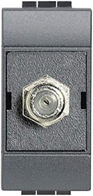Dettaglio 2