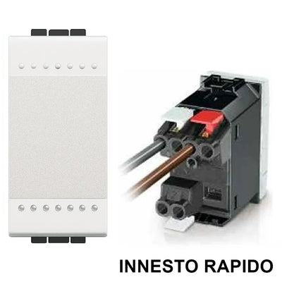Dettaglio 4