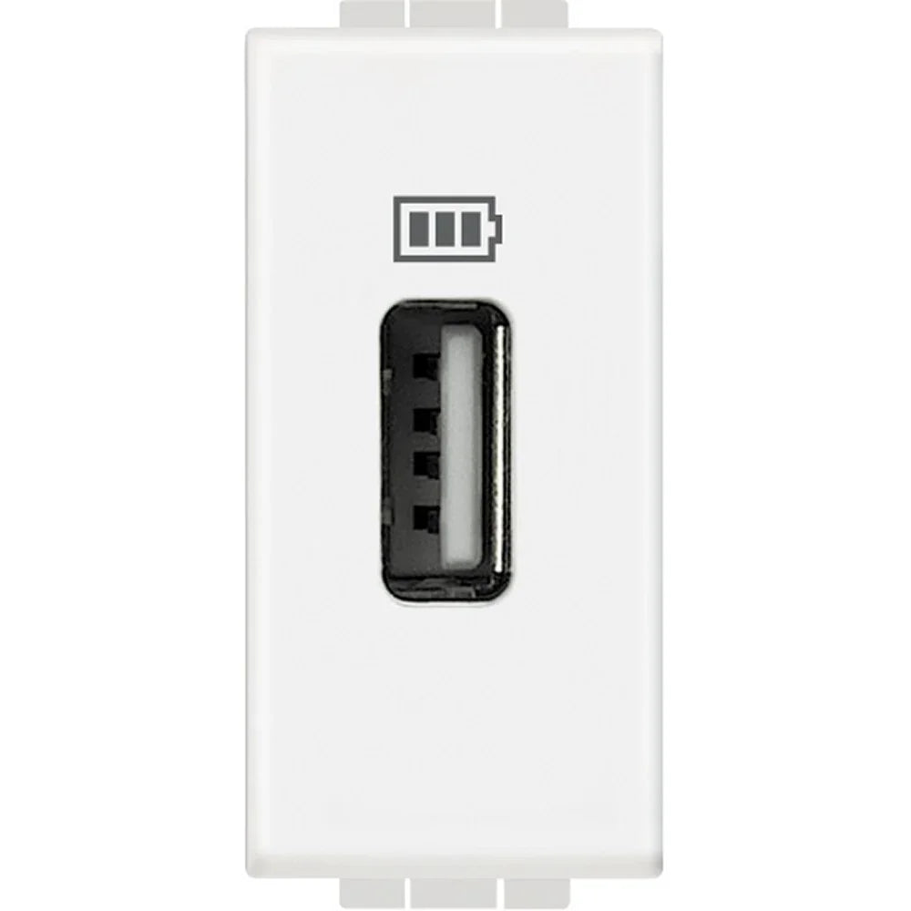 Connettore Dati USB BTicino Livinglight N4285C1 – Caricatore Elegante e Funzionale con 230 Vac