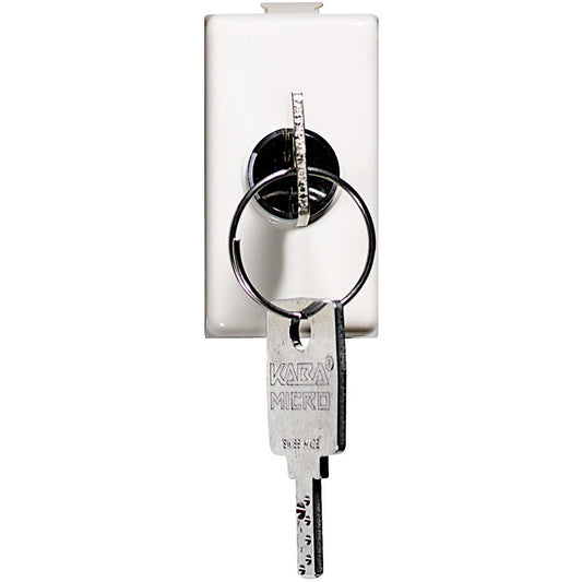 Bticino Matix 2P key switch with removable key for secure control, rated 10A 250Vac, white finish.