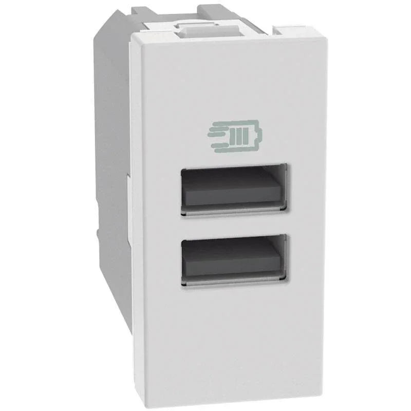 Caricatore USB BTicino MatixGO JW4191AA – Potenza 15W, 2 Porte Tipo A, Design Elegante Bianco