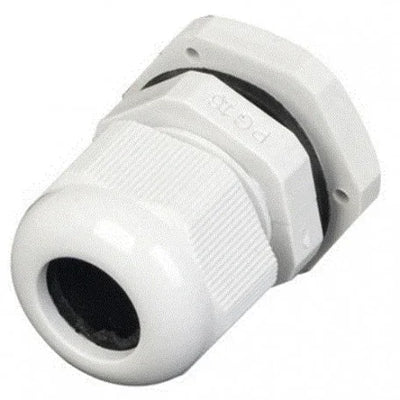 Dettaglio 2