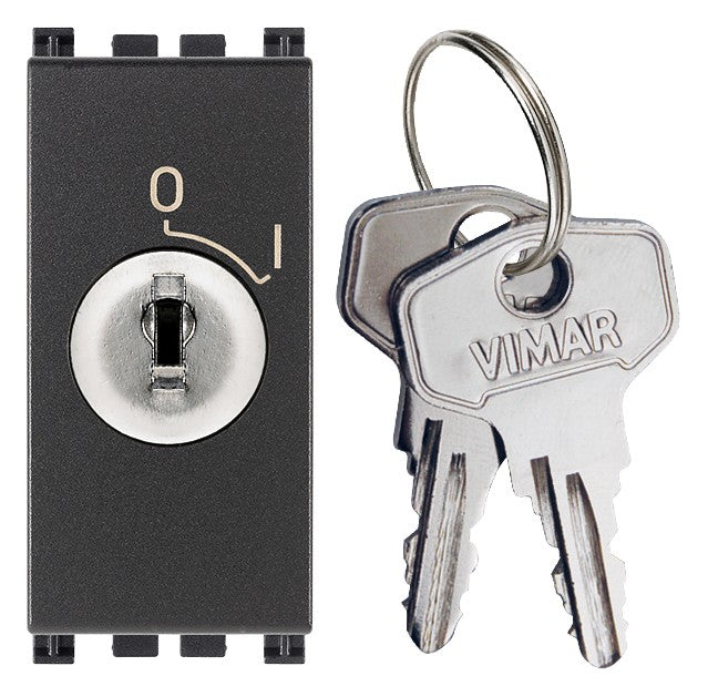 VIMAR grey 2P switch with detachable key, featuring ON/OFF positions and secure access for electrical installations.