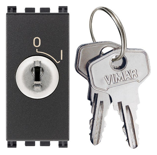 VIMAR grey 2P switch with detachable key, featuring ON/OFF positions and secure access for electrical installations.