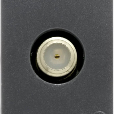 Dettaglio 2
